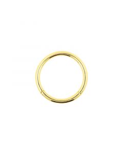 Gouden Click Ring