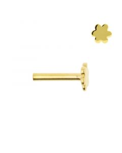 Gouden Mini Labret Stud - 4 mm Bloem Disc