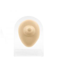 Silicone And Acrylic Display - Nipple L