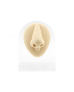 Silicone And Acrylic Display - Nose