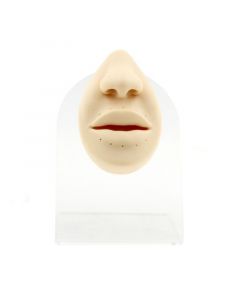 Silicone And Acrylic Display - Lips And Nose