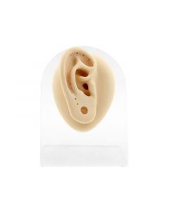 Silicone And Acrylic Display - Ear Plug Right